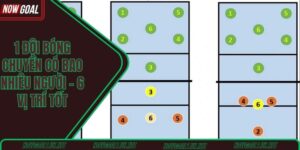 1 đội bóng chuyền có bao nhiêu người