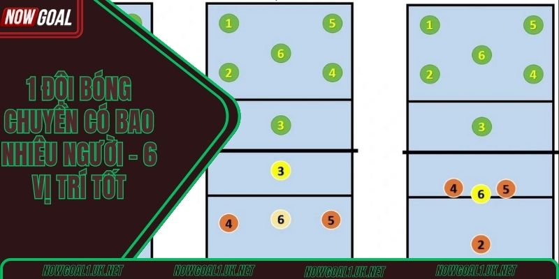 1 đội bóng chuyền có bao nhiêu người