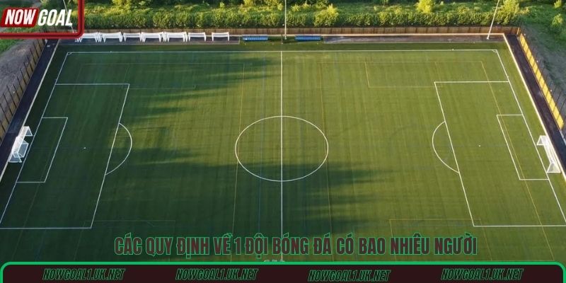 Các quy định về 1 đội bóng đá có bao nhiêu người