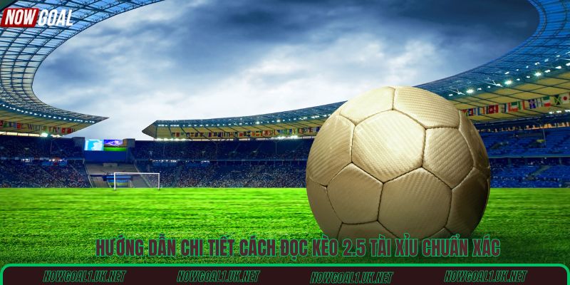 Hướng dẫn chi tiết cách đọc kèo 2.5 tài xỉu chuẩn xác