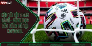 Kèo tài xỉu 4 4.5 là gì