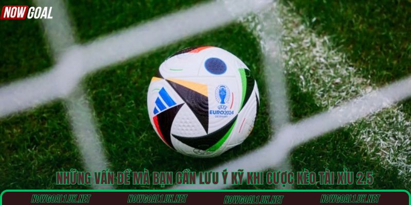 Những vấn đề mà bạn cần lưu ý kỹ khi cược kèo tài xỉu 2.5