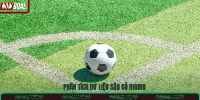 Phân tích dữ liệu sân cỏ nhanh