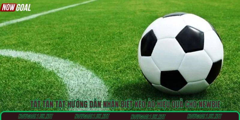 Tất tần tật hướng dẫn nhận biết kèo ảo hiệu quả cho newbie