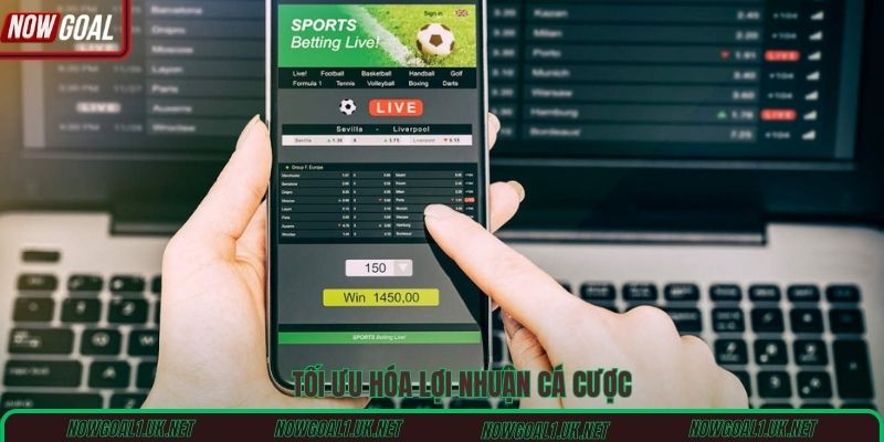 Tối ưu hóa lợi nhuận cá cược