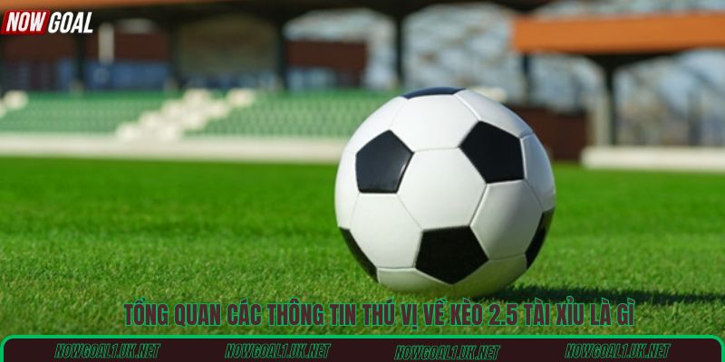 Tổng quan các thông tin thú vị về kèo 2.5 tài xỉu là gì